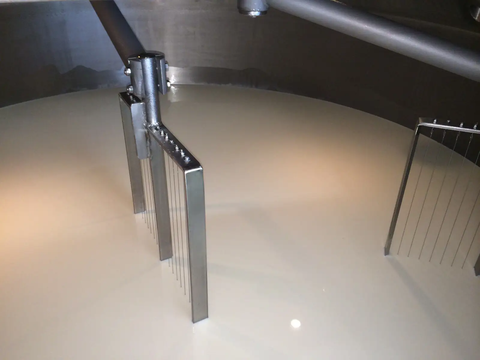 Coaugulazione Cagliata Fase 3